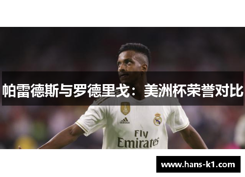 帕雷德斯与罗德里戈：美洲杯荣誉对比