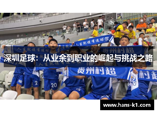 深圳足球：从业余到职业的崛起与挑战之路