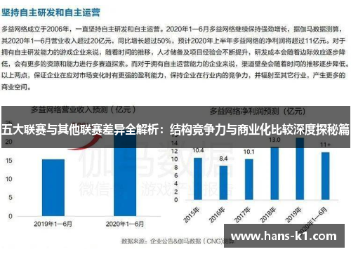 五大联赛与其他联赛差异全解析：结构竞争力与商业化比较深度探秘篇