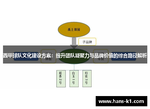 西甲球队文化建设方案：提升团队凝聚力与品牌价值的综合路径解析
