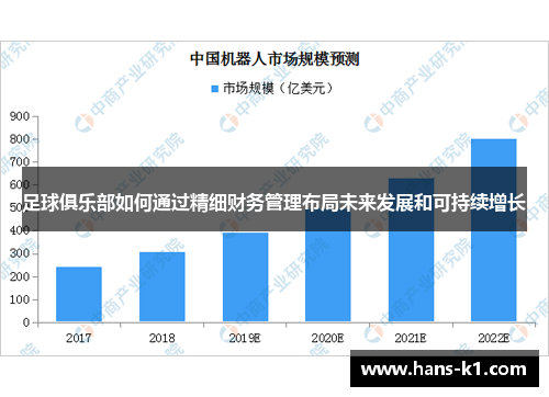 足球俱乐部如何通过精细财务管理布局未来发展和可持续增长
